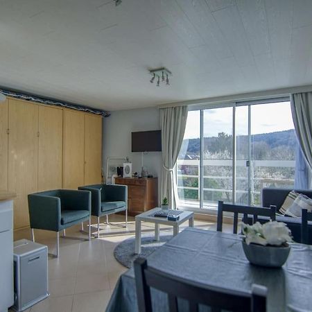 Studio Au Domaine Le Vieux Moulin Apartment Ан-сюр-Лес Екстериор снимка